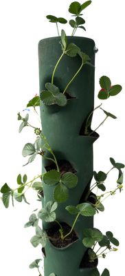 Tubo Macetero Vertical Fresas Artesanal